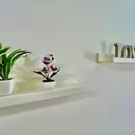 Intero Tranquillo E Immerso Nel