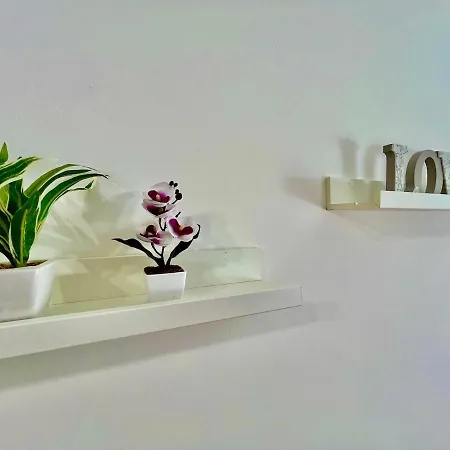 Intero Tranquillo E Immerso Nel