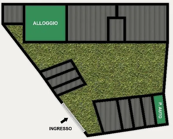 Intero Tranquillo E Immerso Nel *