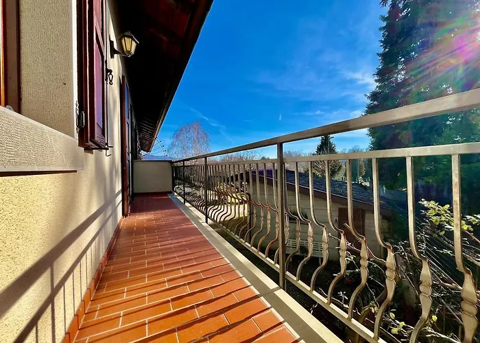 Intero Tranquillo E Immerso Nel * Tricesimo