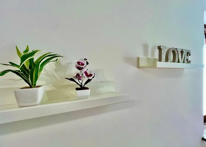 Intero Tranquillo E Immerso Nel